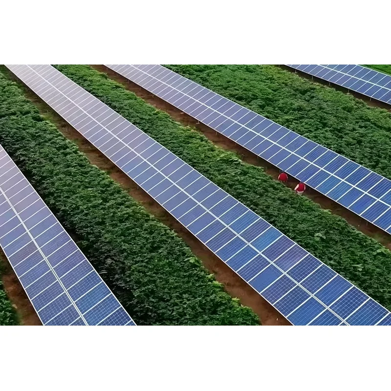 Paano Sinusuportahan ng Solar Mounting Bracket ang Maaasahang Pag-install ng Solar?